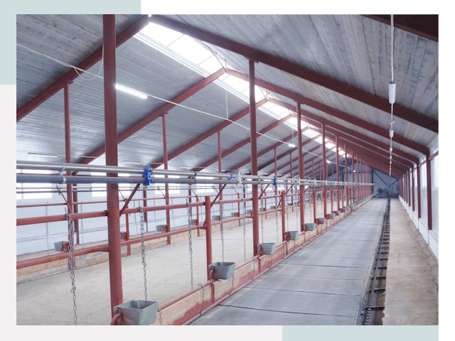 Строительство коровников в Щекине от 618 руб.