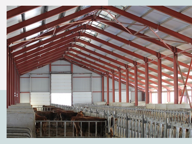 Строительство коровников в Щекине