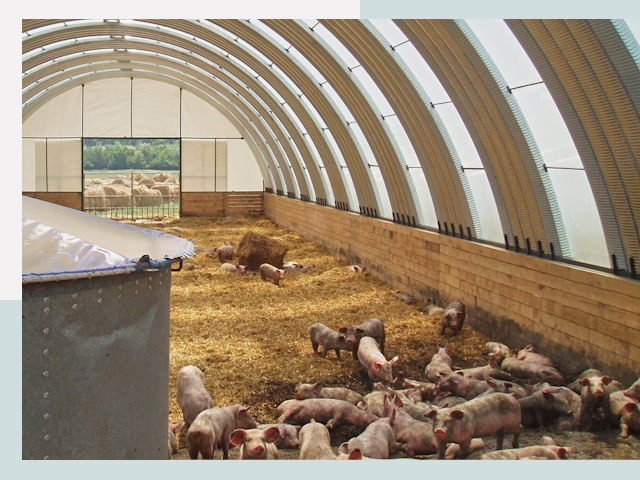 Строительство свинарников в Щекине