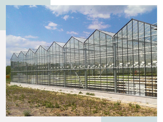 Строительство теплиц в Щекино от 618 руб. за м²