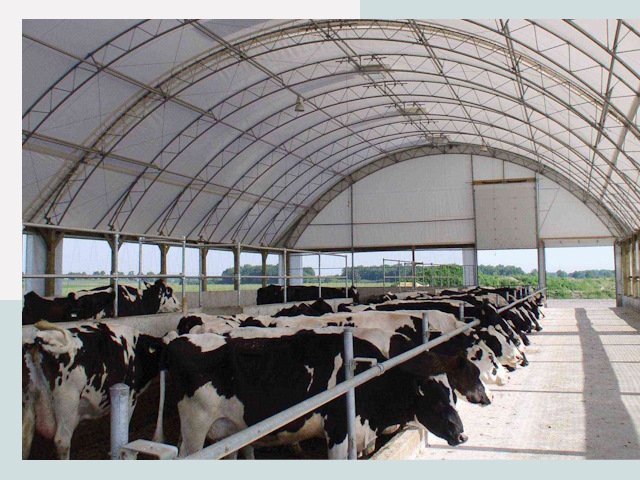 Тентовые коровники в Щекине